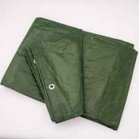 Тент AgroStar 8×10 м зелений (100 г/м²) з люверсами